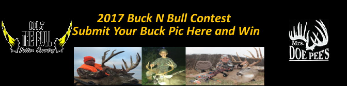 BUCK N BULL CONTEST